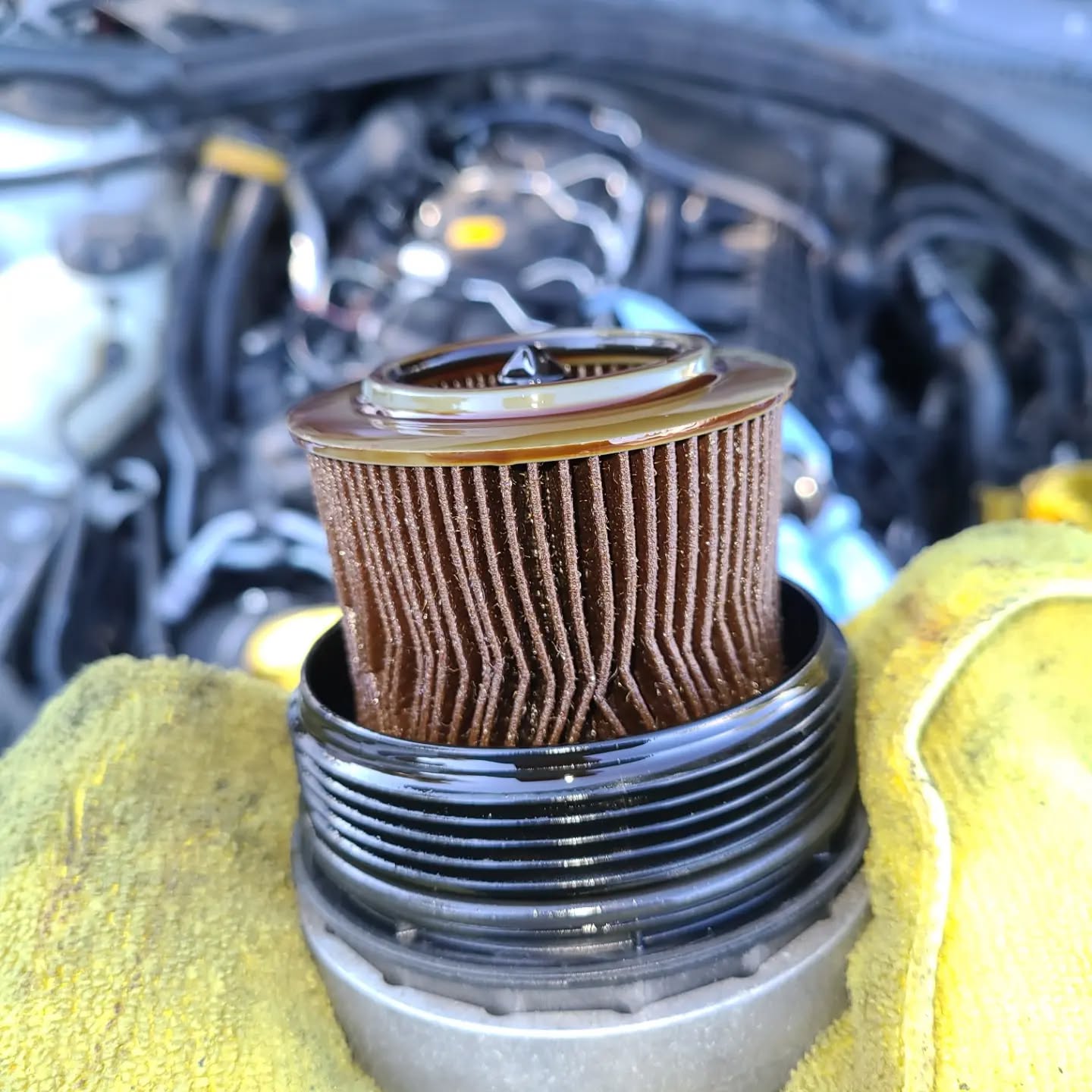 BMW spark plugs laid out during maintenance service showing detailed maintenance work